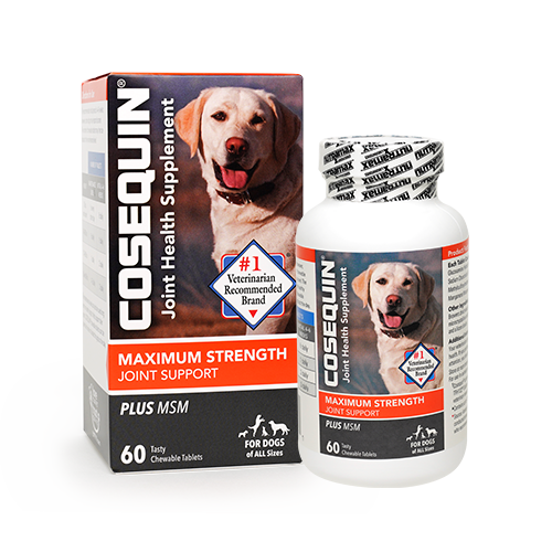 1 Vet Recommended Joint Health Supplements For Dogs Cosequin