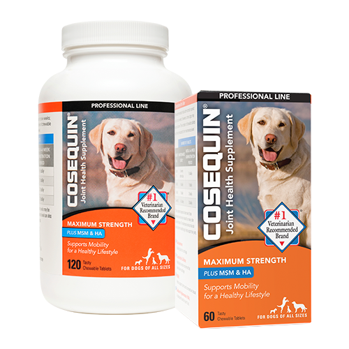 COSEQUIN® Maximum Strength Plus MSM & HA Chewable Tablets Product Packaging