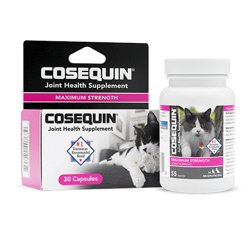 COSEQUIN® for Cats Maximum Strength